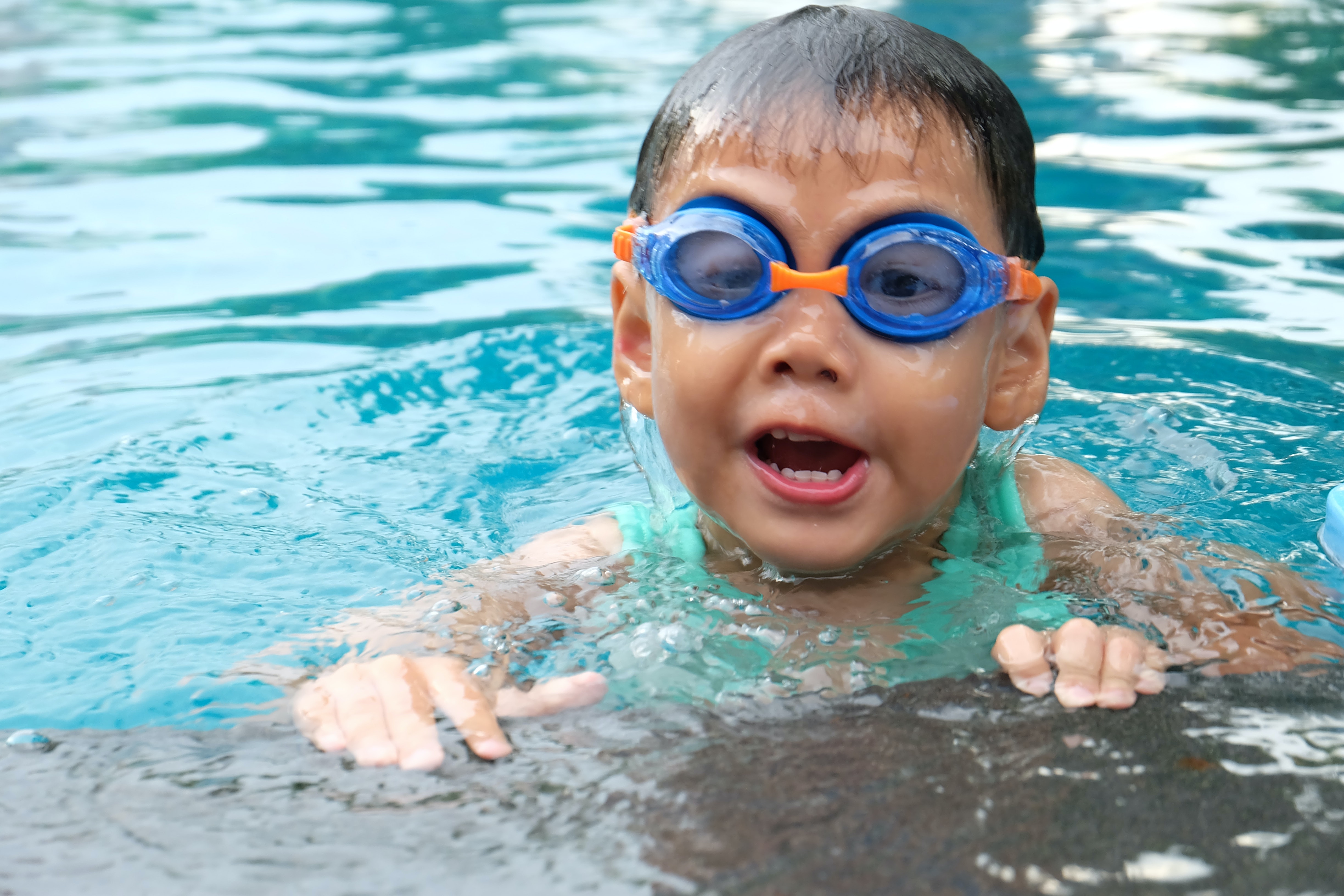 Swimming pool barrier inspection